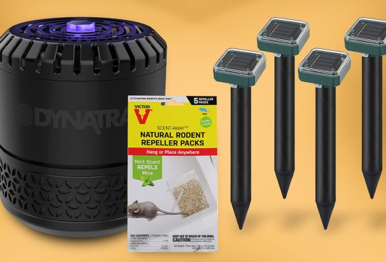 Quiet gadgets that’ll solve your indoor pest problems