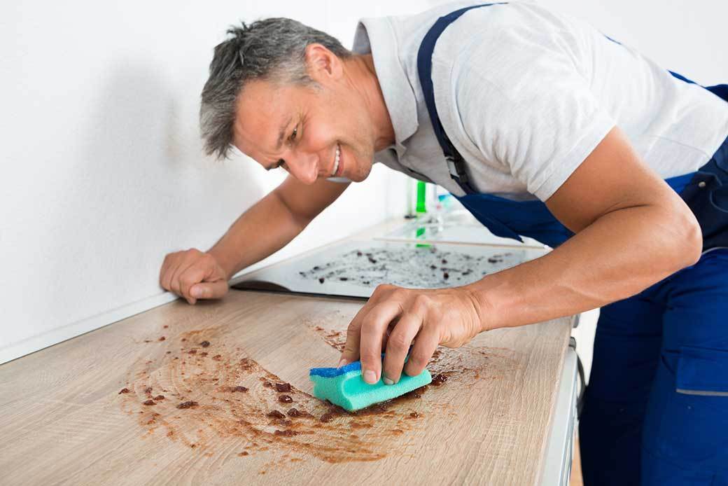 5 Best Insect Foggers Feb. 2021 BestReviews