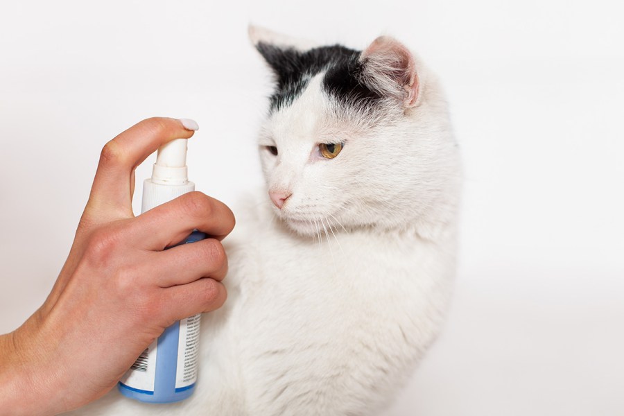 5 Best Flea Home Sprays May 2024 BestReviews