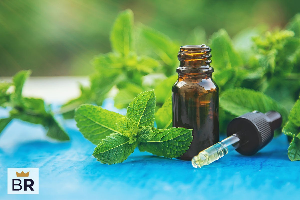 5 Best Peppermint Oils Apr 2024 BestReviews   10 Where To Buy Peppermint Essential Oils 178188 