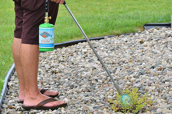 5 Best Weed Torches - Aug. 2023 - BestReviews