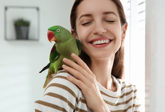 Best bird carrier
