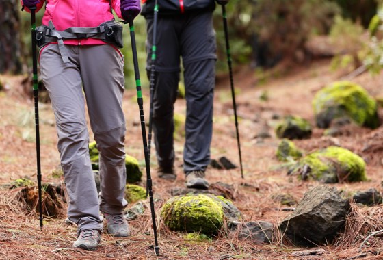 Best Black Diamond trekking poles