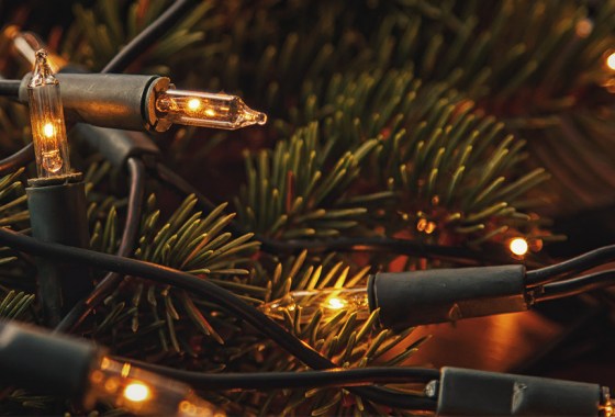 Best Disney Christmas lights
