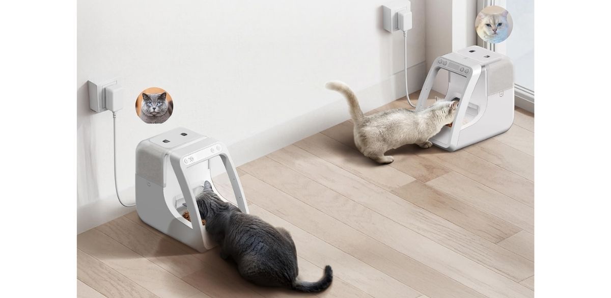 PAWSPIK Automatic Microchip RFID Cat Feeder