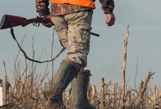 Beginner's guide to pheasant hunting: Everything you need to get started