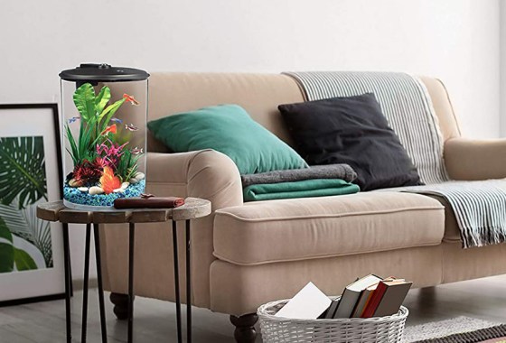 Best 3-gallon fish tank