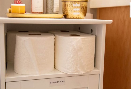Best RV toilet paper