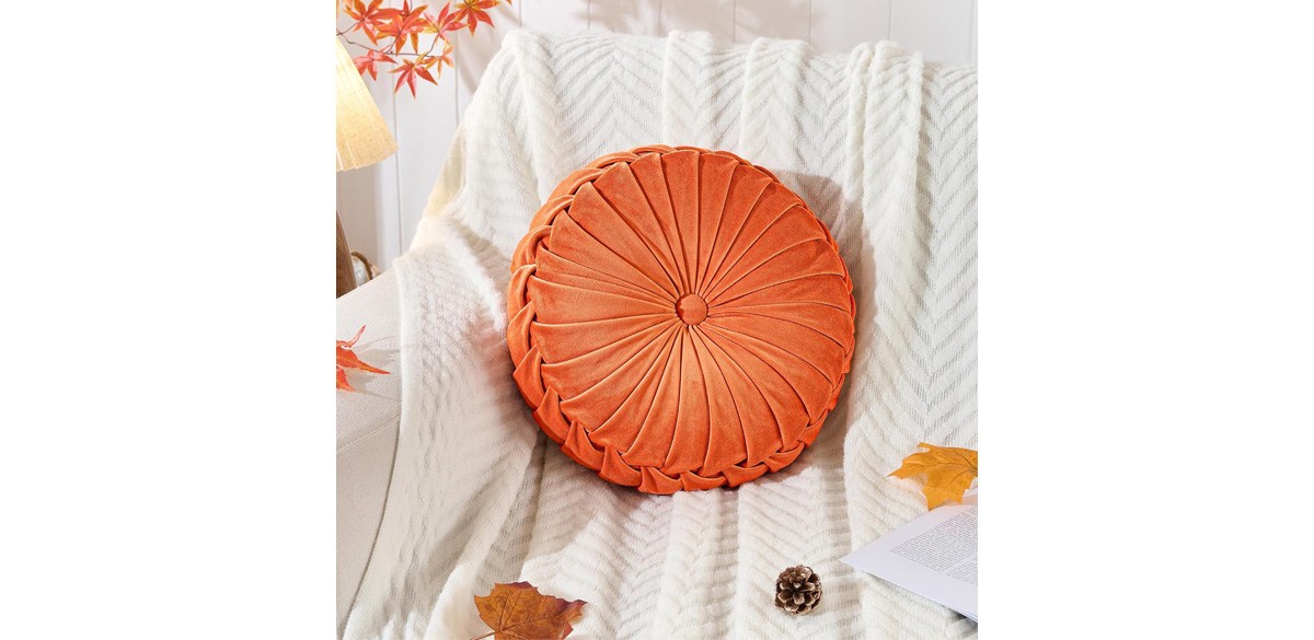 ROSE&amp;RISY Round Pleated Velvet Throw Pillow