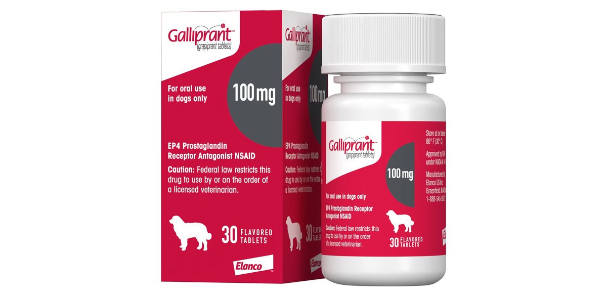 Galliprant (grapiprant) Tablets for Dogs, 100-mg, 30 tablets