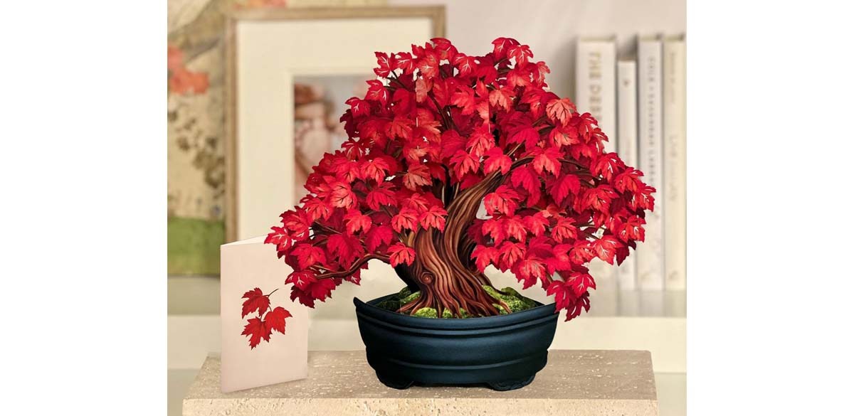 Freshcut Paper Pop-Up Cards, Red Maple Tree