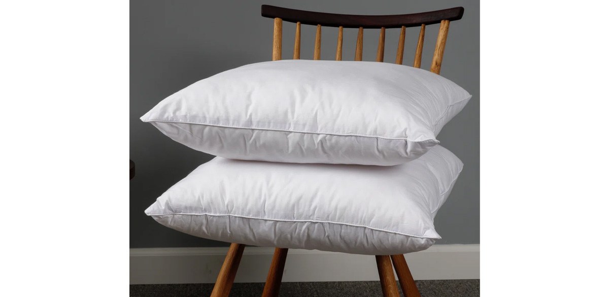 Wayfair Basics Didomenico Euro Square Pillow Insert (Set of 2)