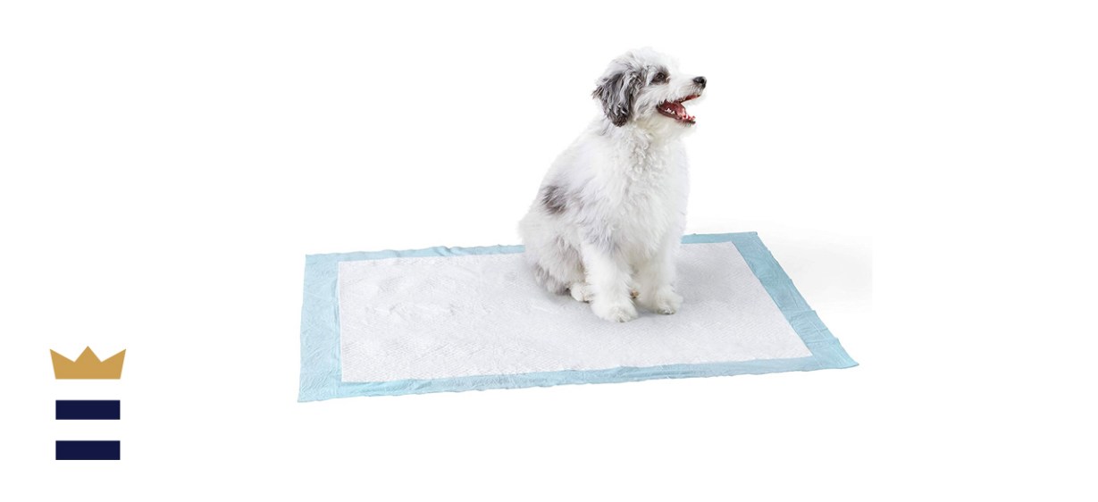 Amazon Basics Dog and Puppy Pads