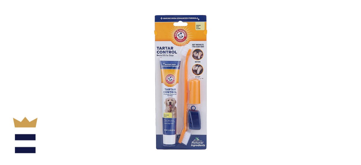 Arm &amp; Hammer for Pets Tartar Control Kit for Dogs