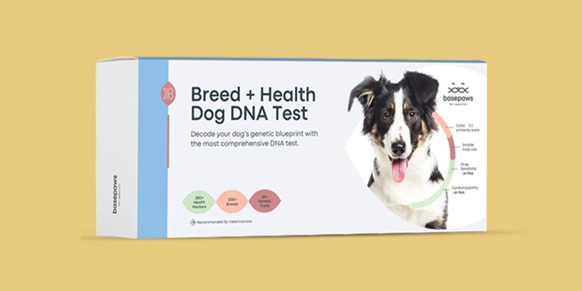 Basepaws Dog and Cat DNA Testing Kits