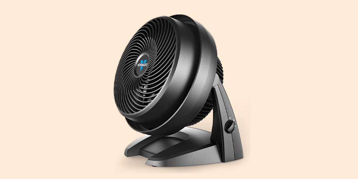 Vornado Fan