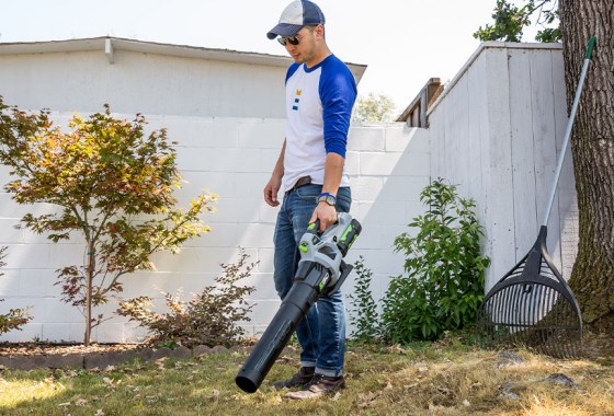 DeWalt vs. Ryobi leaf blower
