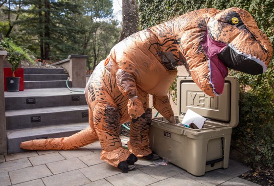 Best dinosaur costume