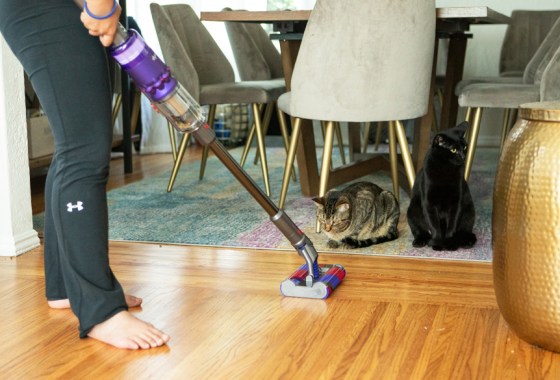 Best Eureka vacuum