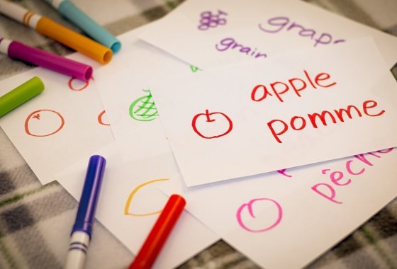 Best foreign language learning tools