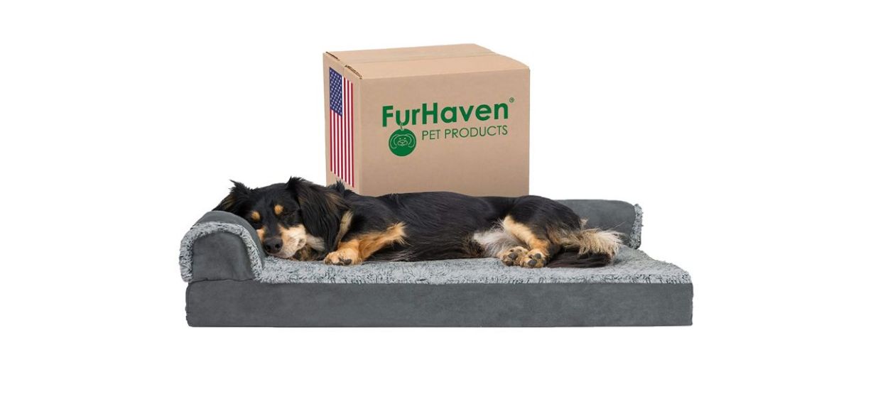 Best Furhaven Orthopedic Memory Foam Dog Bed