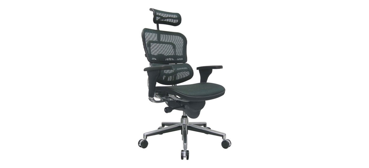 ErgoHuman EuroTech Mesh Chair ErgoHuman EuroTech Mesh Chair