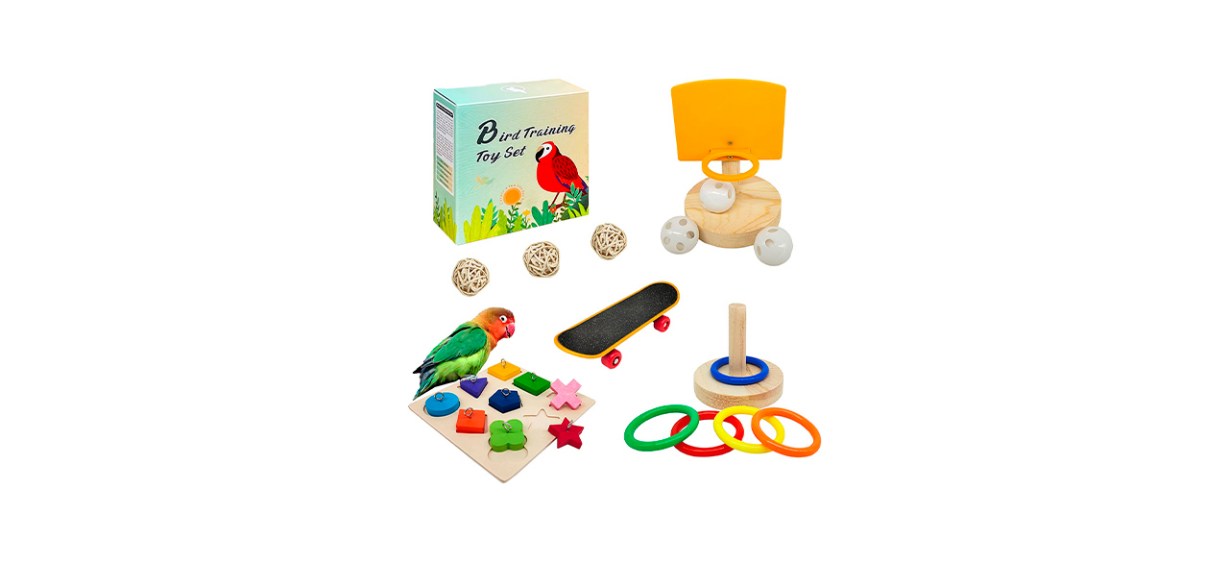 Best Hoorito Bird Training Toy Set