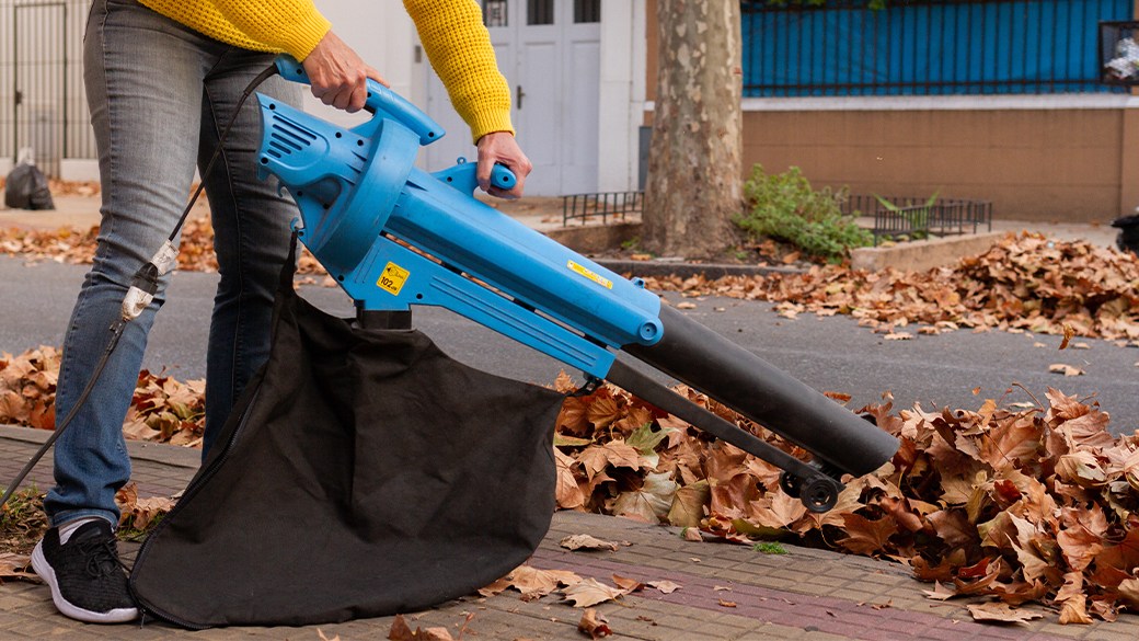 Best leaf vacuum