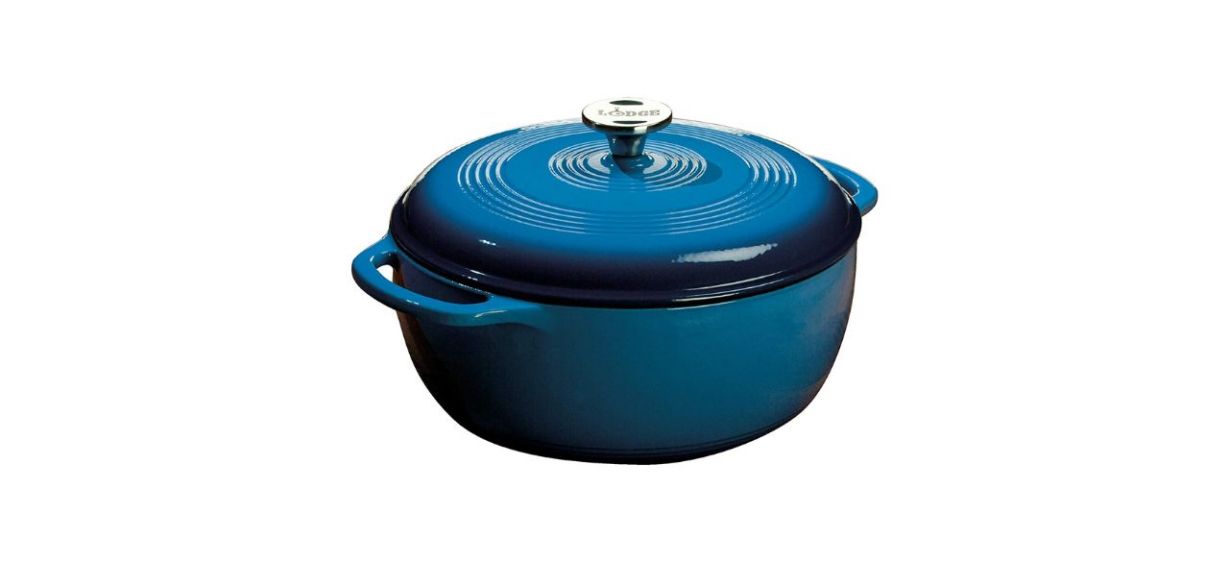 Best Lodge Enameled Cast Iron Dutch Oven