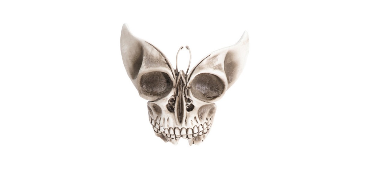 Halloween butterfly skull decor on white background