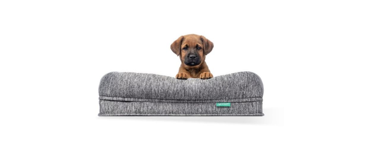 Newton Washable and Orthopedic Pet Bed Newton Washable and Orthopedic Pet Bed