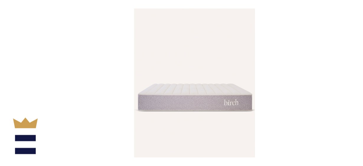 Birch by Helix Natural Mattress