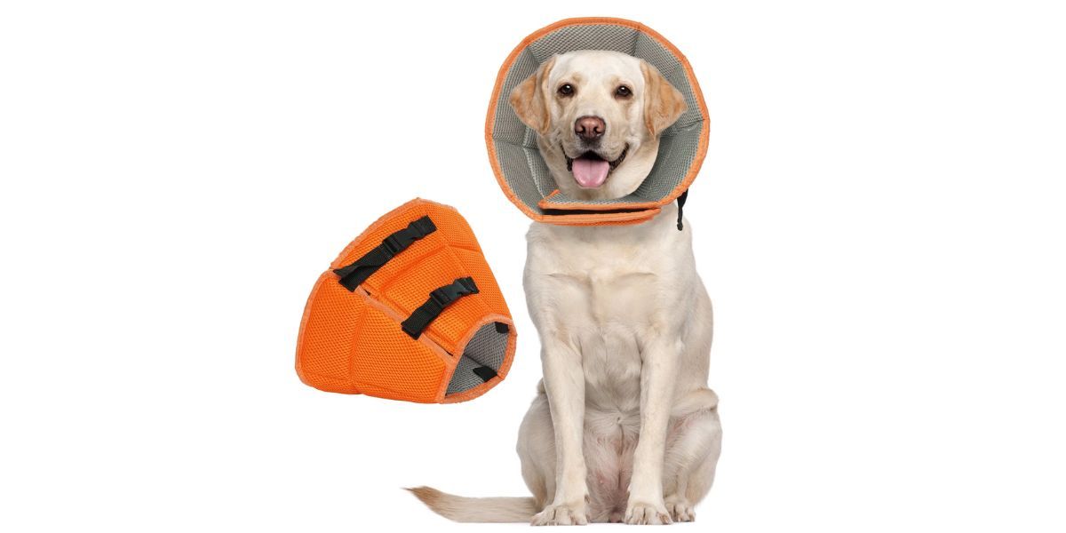 Kuoser Dog Cone Collar