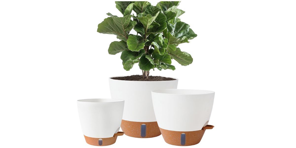 Fielda 8/10/12 Inch Self Watering Pots