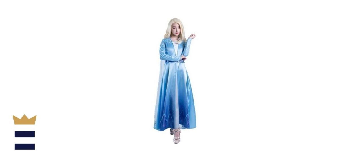 Frozen 2 Elsa Costume