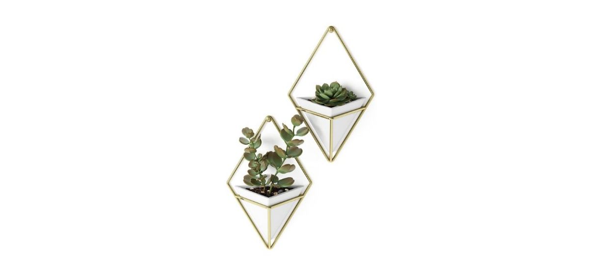 Umbra Trigg Hanging Planter