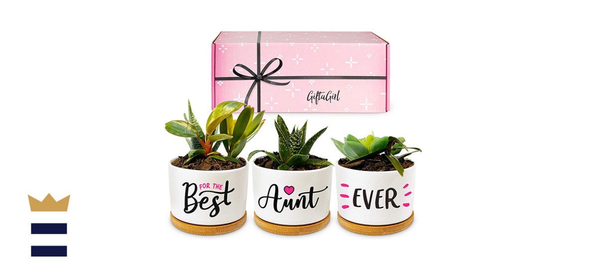 GIFTAGIRL Best Aunt Ever Succulent Pots