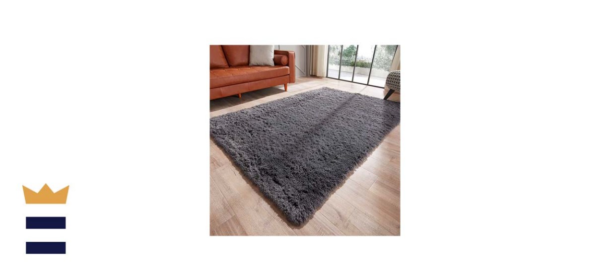 Gkluckin Shag Ultra-Soft Area Rug