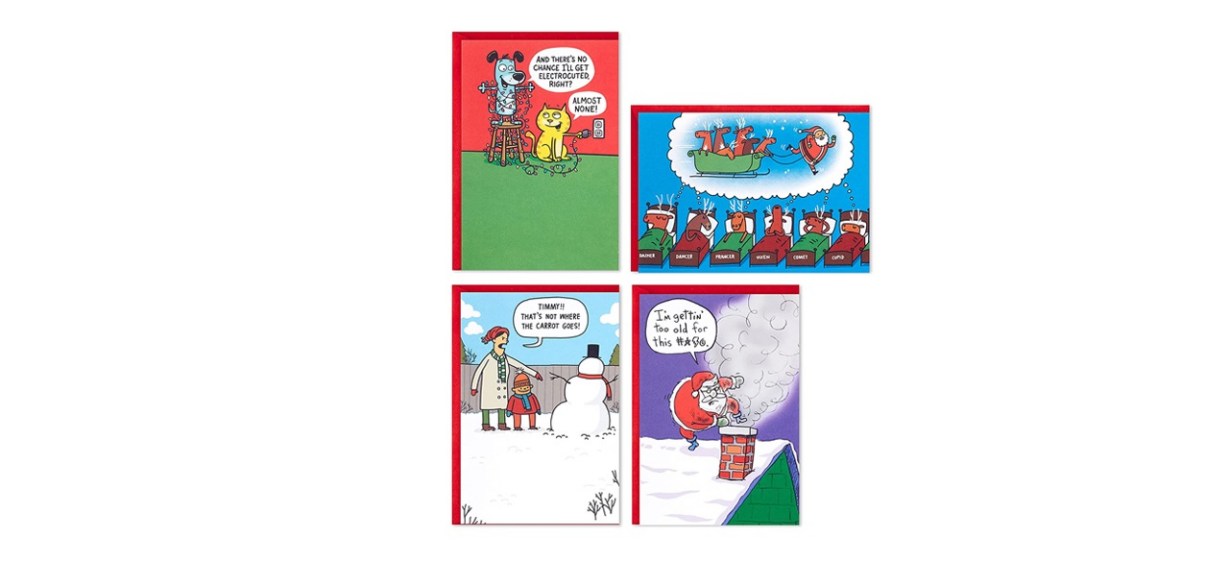 Hallmark/Shoebox Funny Boxed Christmas Cards Assortment, Festive Cartoons