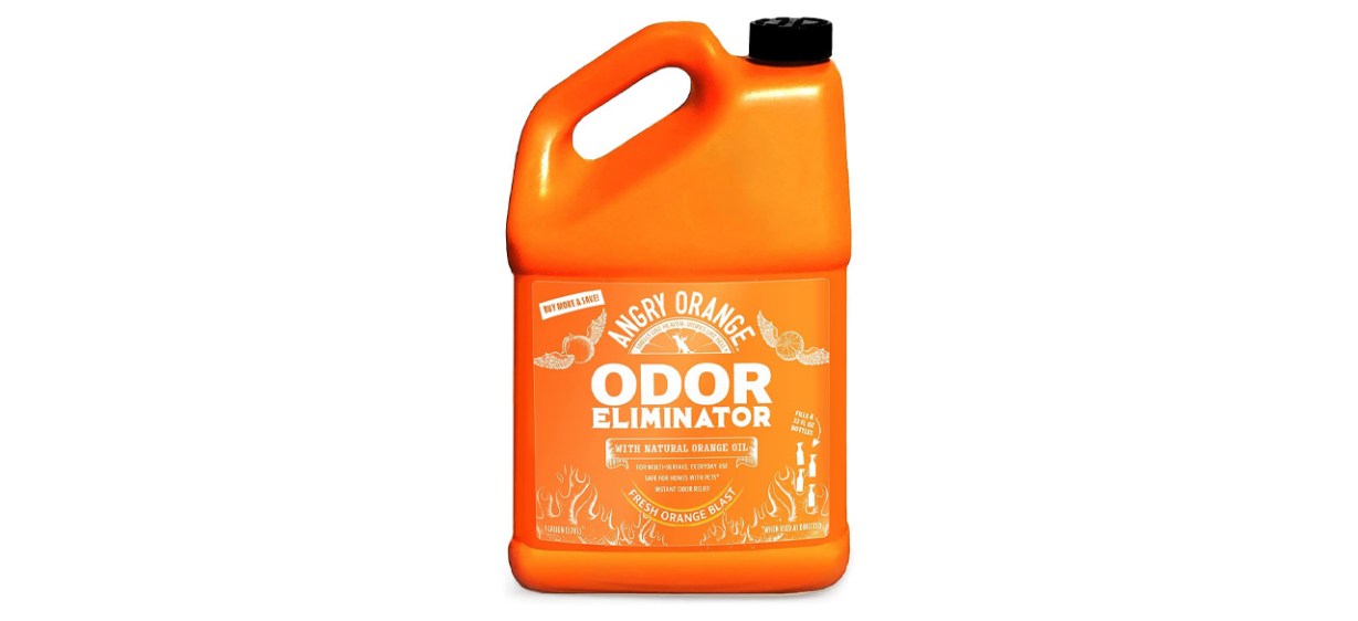 Wet Dog Smell Is Real And These Products Get Rid Of It wet-dog-smell-is-real-and-these-products-get-rid-of-it