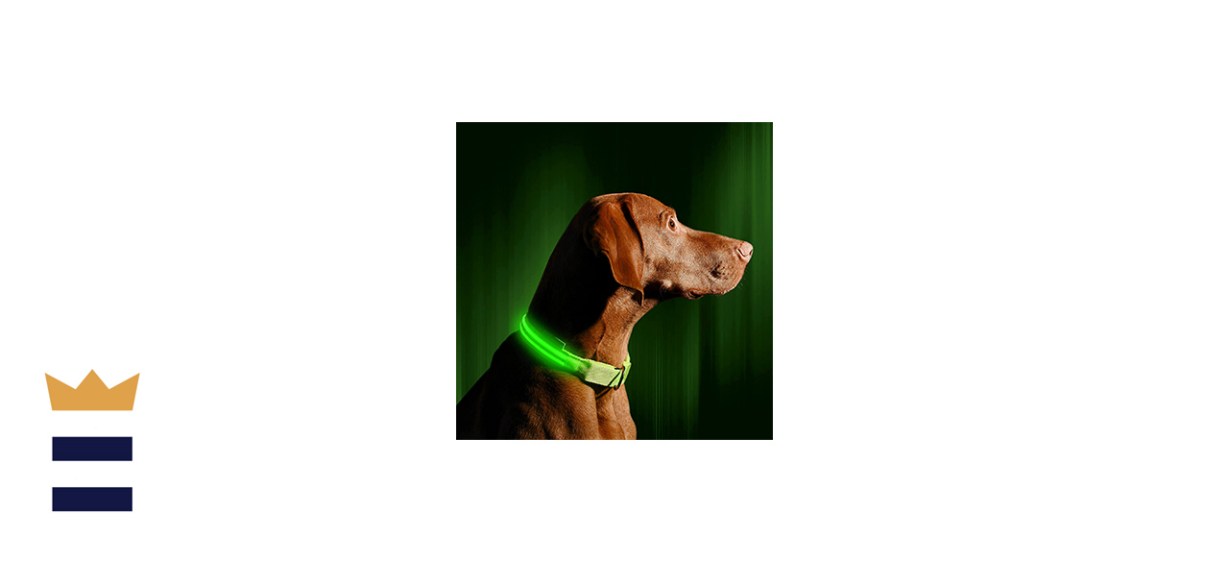 ILLUMISEEN LED Dog Collar