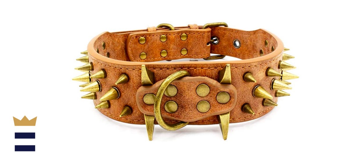 Large Spiked Studded Dog Collar