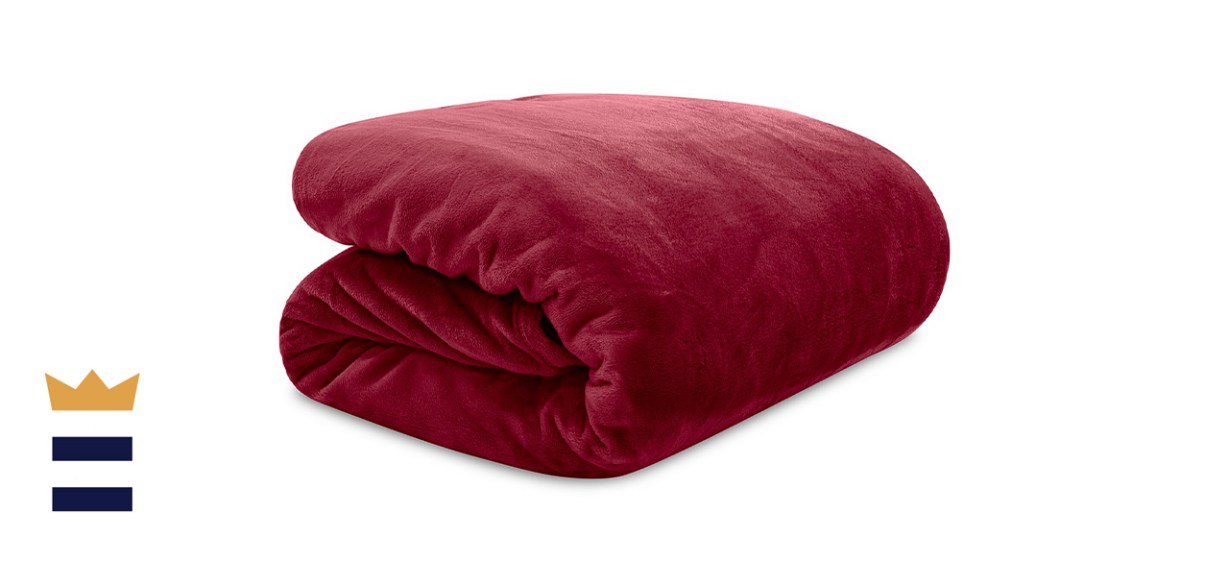 Lauren Ralph Lauren Micromink Plush Twin Blanket