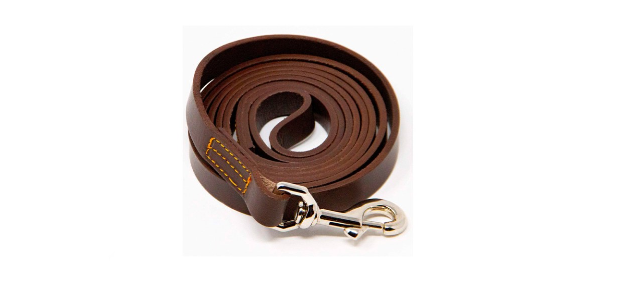 Logical Leather Water-Resistant Leather Dog Leash