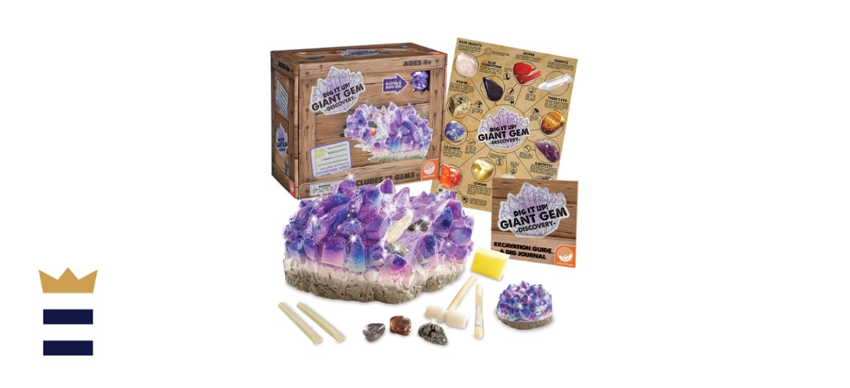 MindWare Dig it Up Discoveries