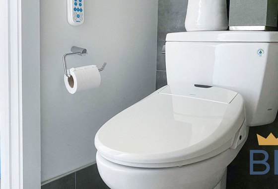 Omigo Bidet review: Can this luxury toilet seat improve your bathroom experience?