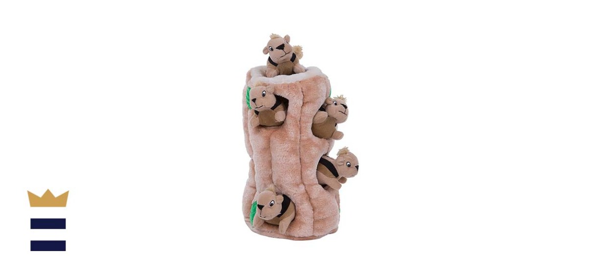 Outward Hound Hide-A-Squirrel Squeaky Puzzle