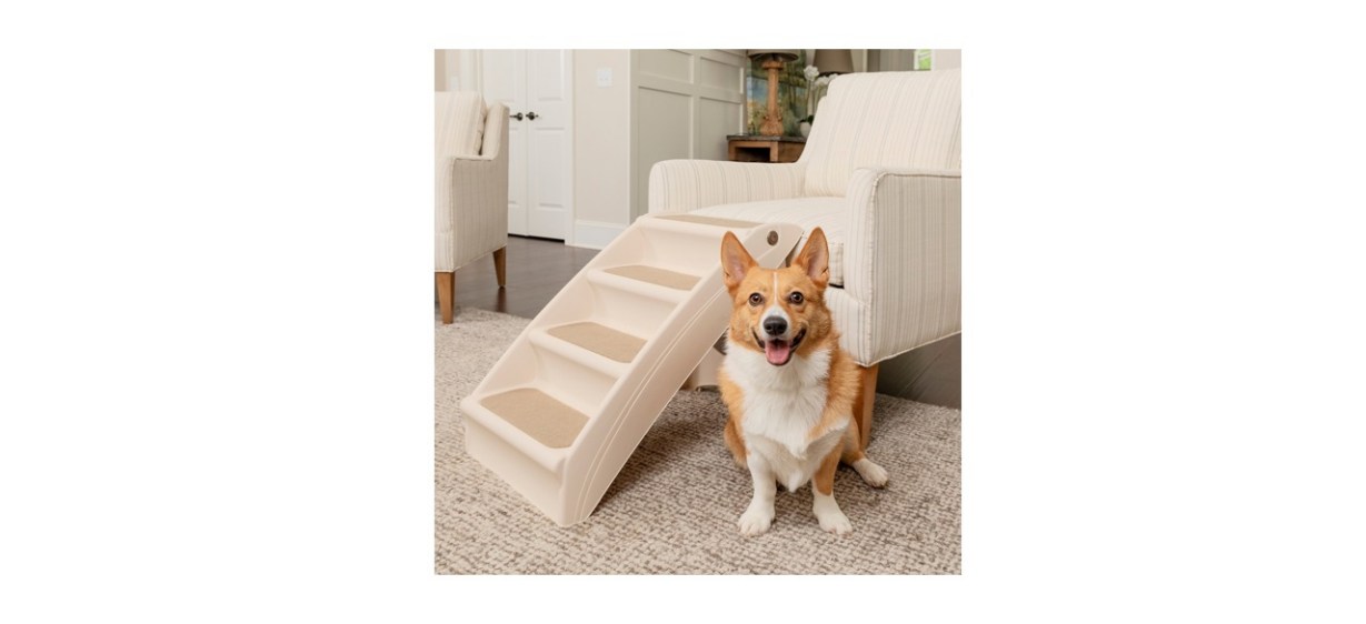 PetSafe CozyUp Foldable Cat &amp; Dog Stairs