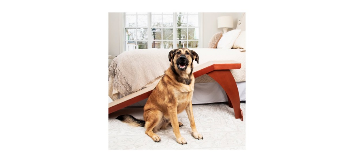 PetSafe CozyUp Wooden Cat &amp; Dog Ramp