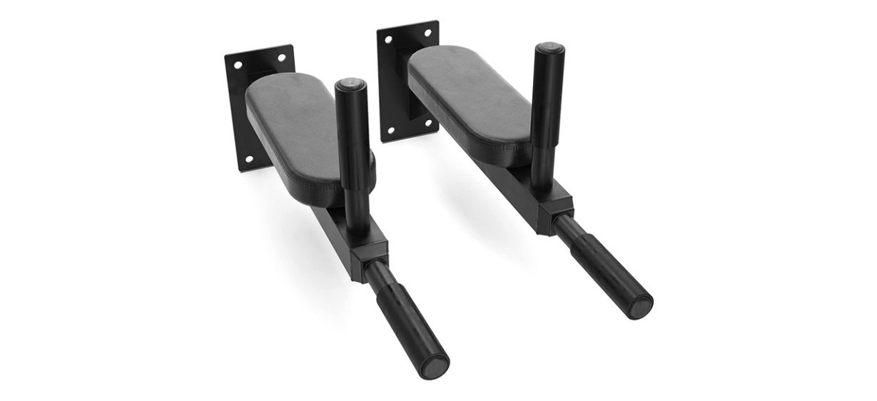 Synergee Wall Mounted Dip Station